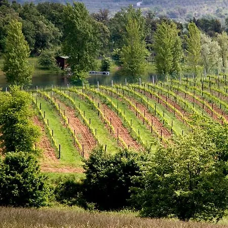 I Grandi Di Toscana * Ciggiano